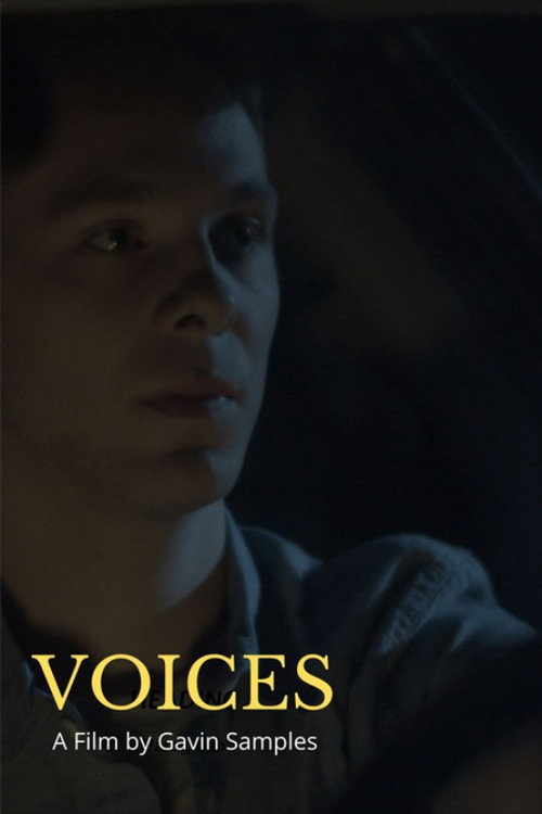 Voices (2020) movie poster