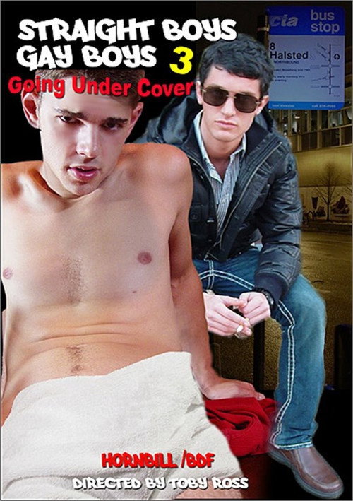 Straight Boys, Gay Boys 3: Going Under Cover (2010) movie poster