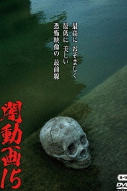 Tokyo Videos of Horror 15 (2016) movie poster
