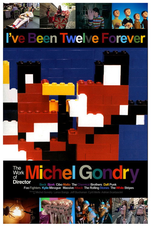 I've Been Twelve Forever: The Work of Director Michel Gondry (2004) movie poster