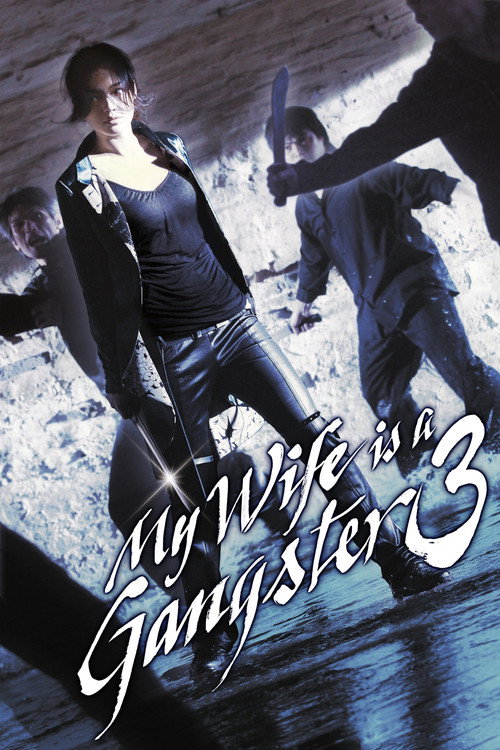 My Wife is a Gangster 3 (2006) movie poster