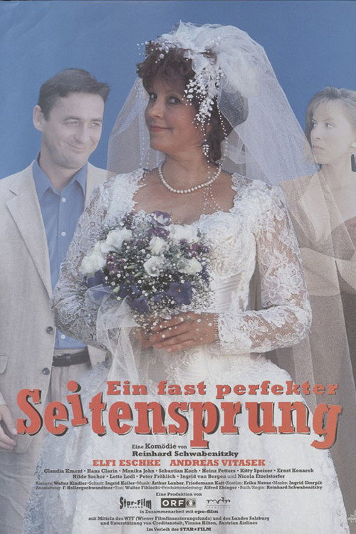 Ein fast perfekter Seitensprung (1996) movie poster