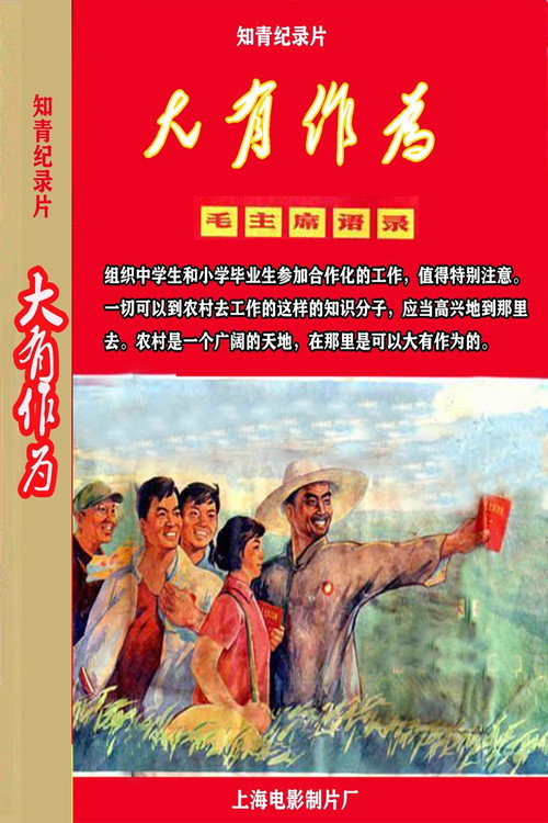 大有作为 (1972) movie poster