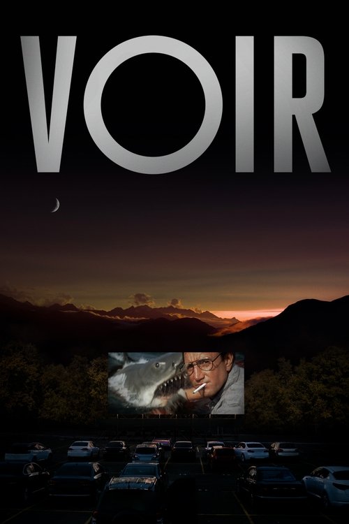 Voir (2021) TV show poster