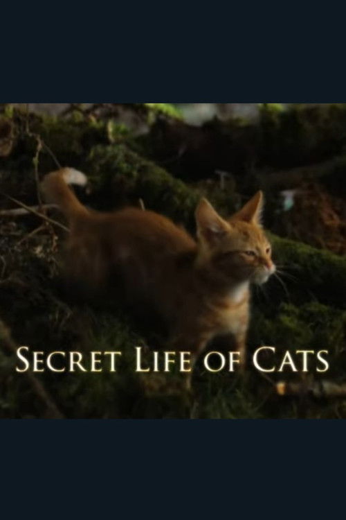 The Secret Life of Cats (2014) movie poster