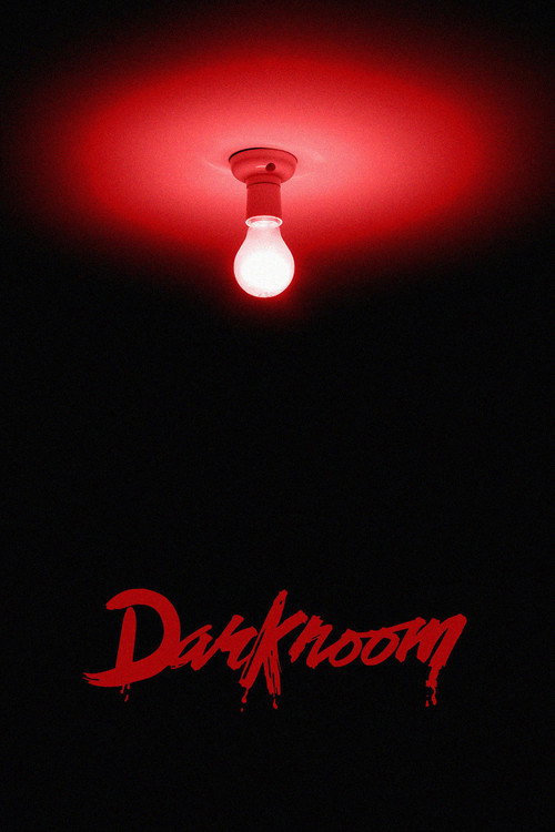 Darkroom (1981) TV show poster