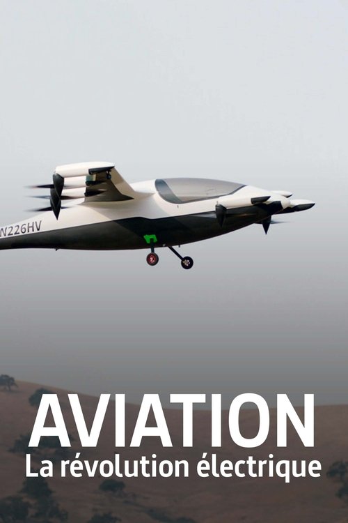 The Great Electric Airplane Race (2022) movie poster