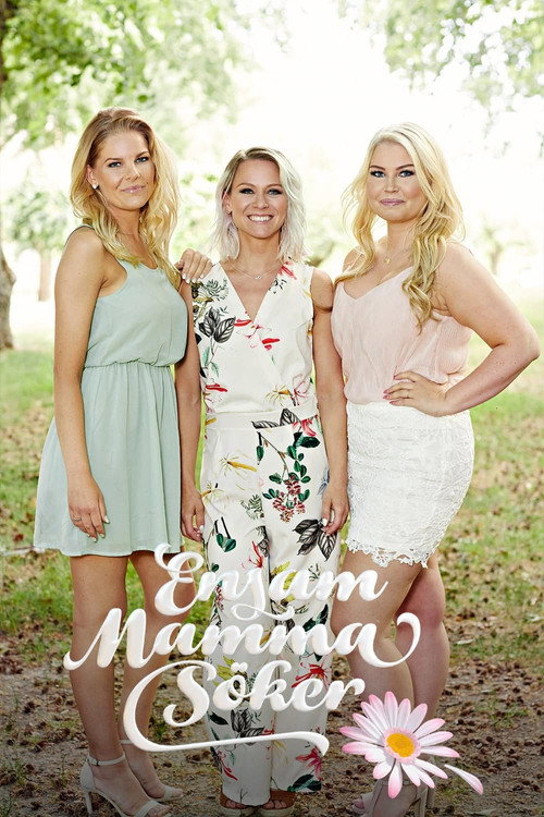 Ensam mamma söker (2007) TV show poster