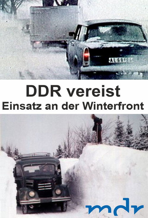 DDR vereist - Einsatz an der Winterfront (2012) movie poster