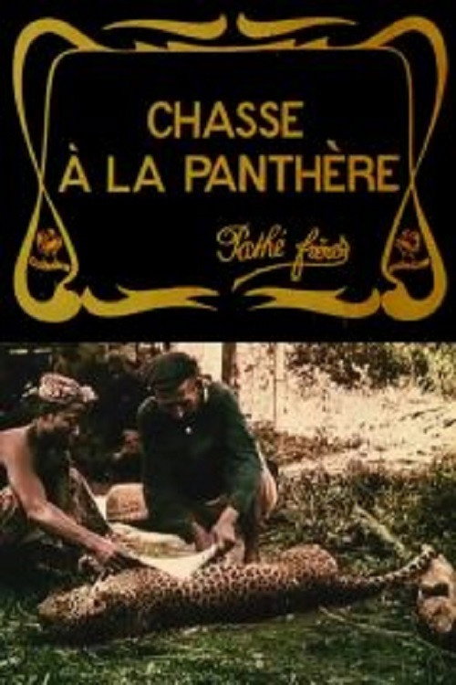 Hunting the Panther (1909) movie poster