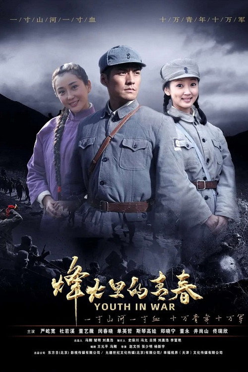 烽火硝烟里的青春 (2020) TV show poster