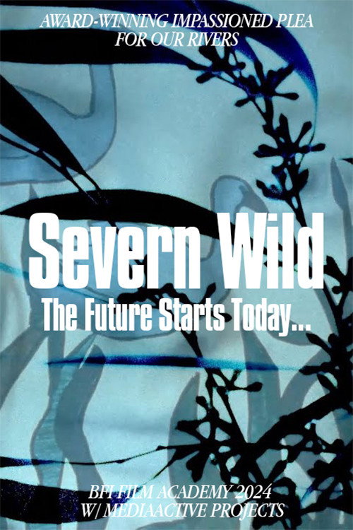 Severn Wild (2024) movie poster