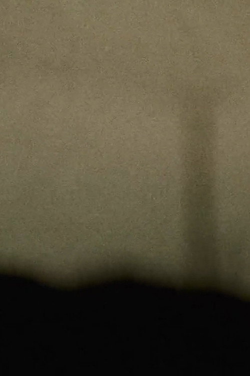 Lenz Elegy (2015) movie poster