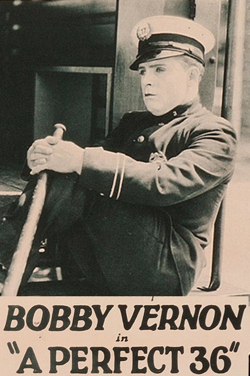 A Perfect 36 (1923) movie poster