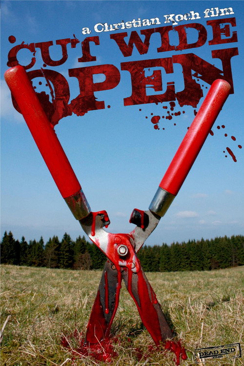 Cut Wide Open (2010) movie poster