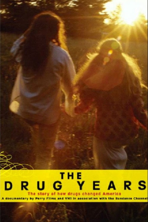 The Drug Years (2006) TV show poster