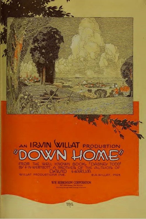 Down Home (1920) movie poster