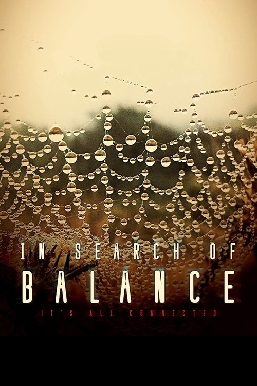 In Search of Balance (2016) movie poster