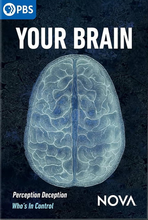 Your Brain (2023) movie poster