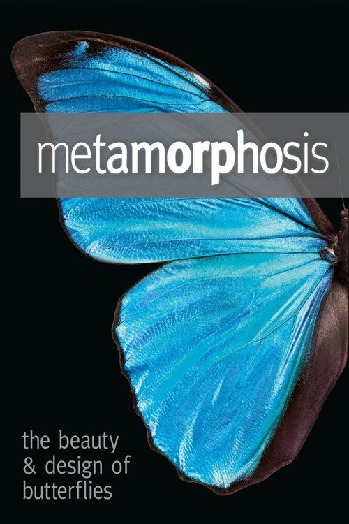 Metamorphosis: The Design and Beauty of Butterflies (2011) movie poster
