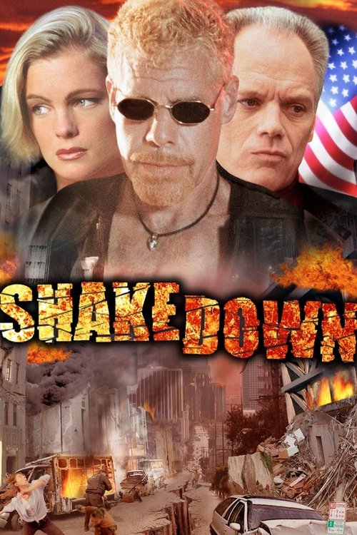 Shakedown (2002) movie poster
