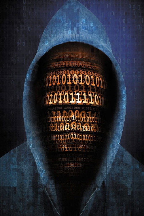 Horizon: Defeating the Hackers (2013) movie poster
