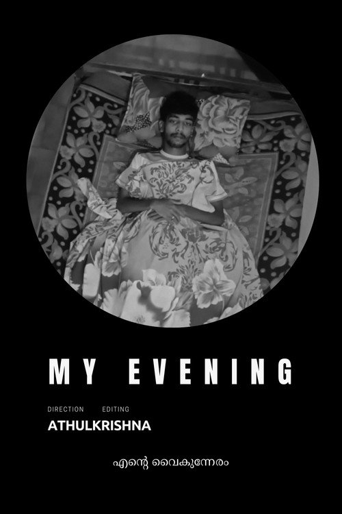 My Evening (2024) movie poster