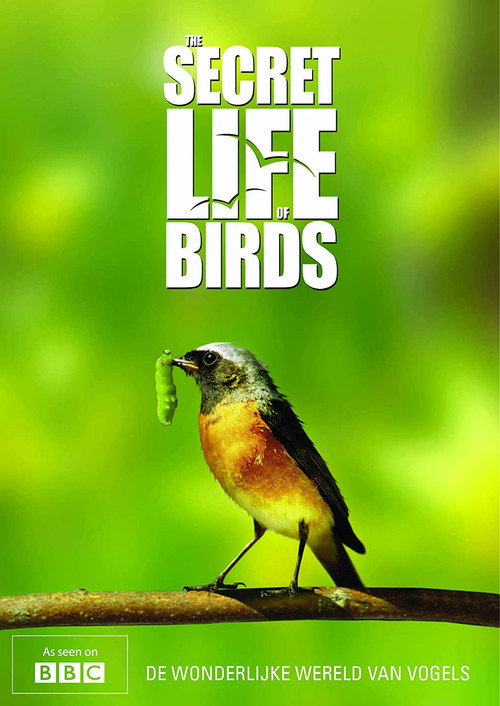 Iolo's Secret Life of Birds (2010) TV show poster