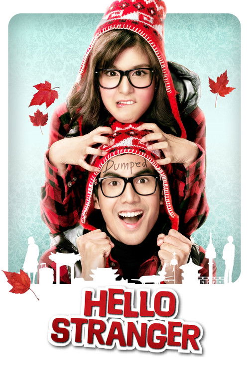 Hello Stranger (2010) movie poster