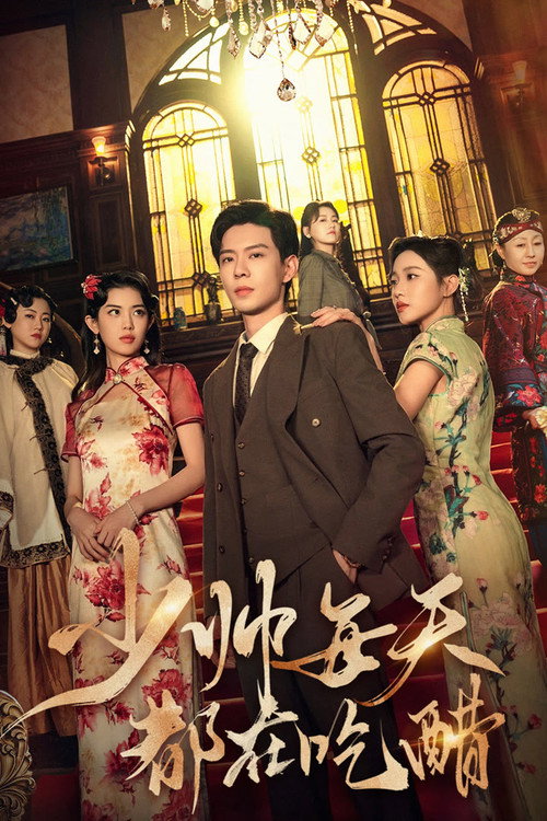 少帅每天都在吃醋 (2025) TV show poster
