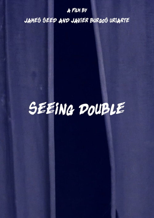 Seeing Double (2020) movie poster