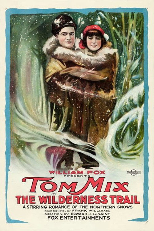 The Wilderness Trail (1919) movie poster