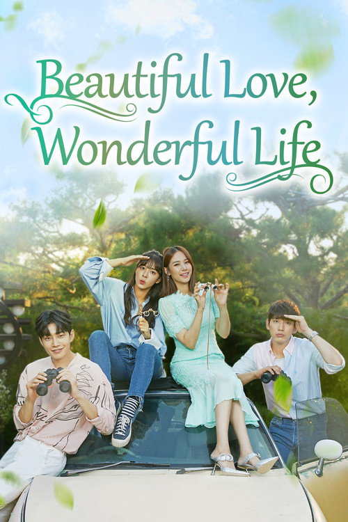Beautiful Love, Wonderful Life (2019) TV show poster