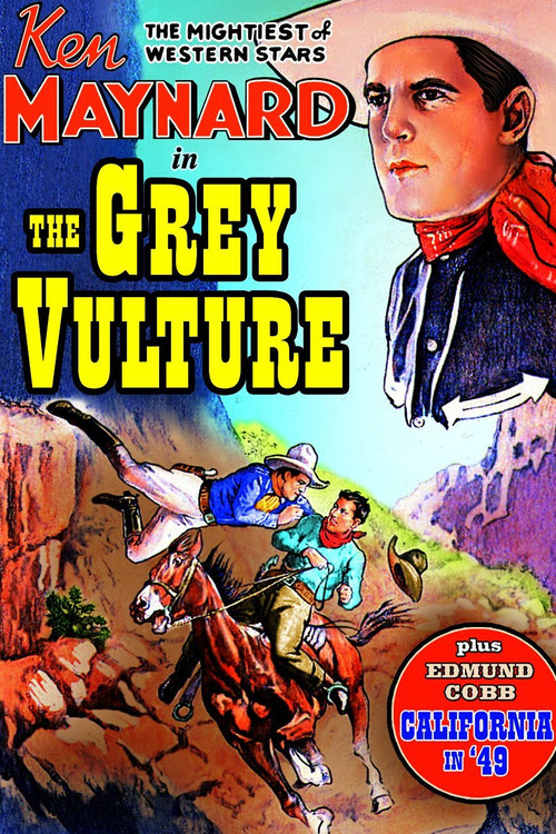 The Grey Vulture (1926) movie poster