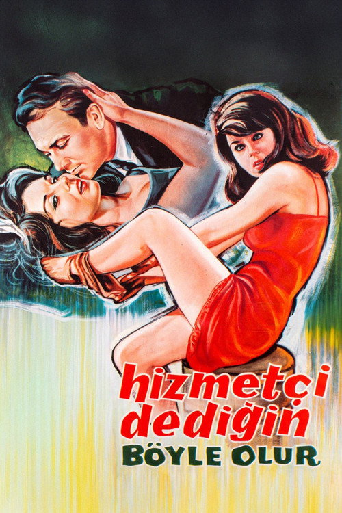 Hizmetçi Dediğin Böyle Olur (1964) movie poster