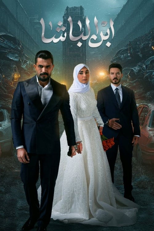 Son of the master (2025) TV show poster