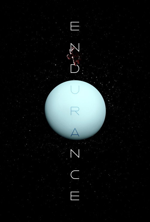 Endurance (2024) movie poster