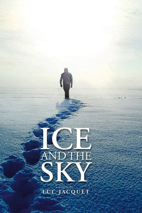 Antarctica: Ice & Sky (2015) movie poster