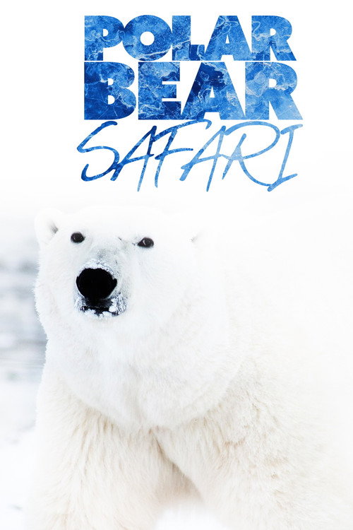 Polar Bear Safari (2000) movie poster
