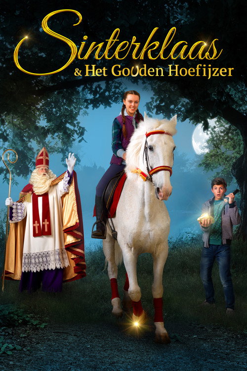 Sinterklaas and the Golden Horseshoe (2017) movie poster