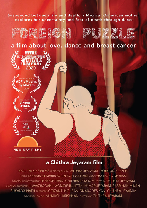 Foreign Puzzle (2019) movie poster
