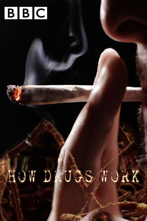 How Drugs Work (2011) TV show poster