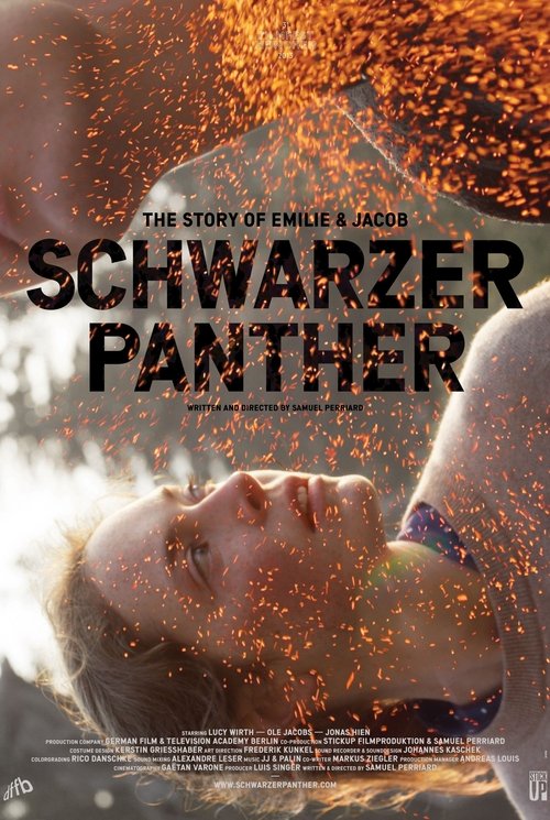 Black Panther (2013) movie poster