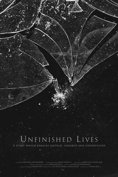 Unfinished Lives (2020) movie poster