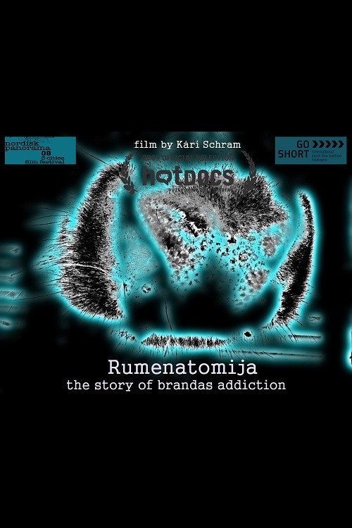 Rumenatomija: The Story of Brandas Addiction (2008) movie poster