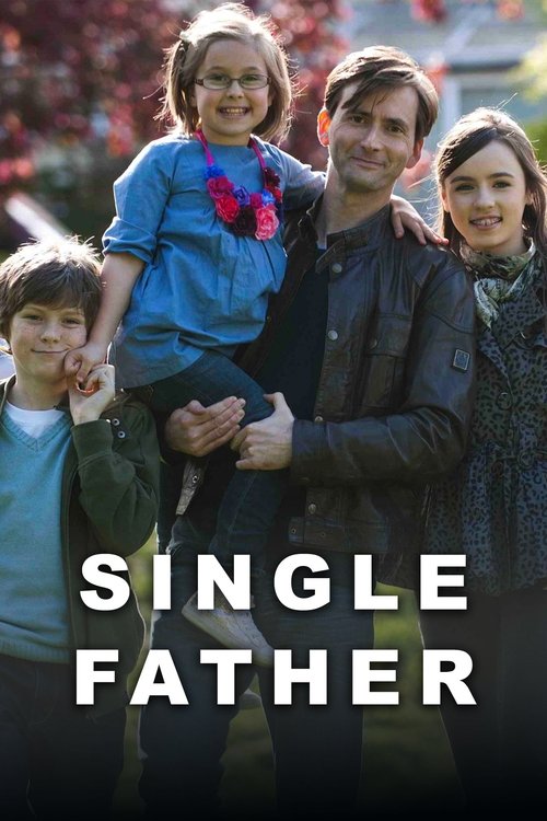 Single Father (2010) TV show poster