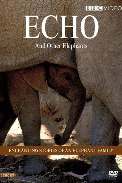 Echo and Other Elephants (2005) TV show poster