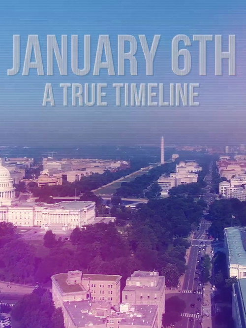 J6: A True Timeline (2024) movie poster