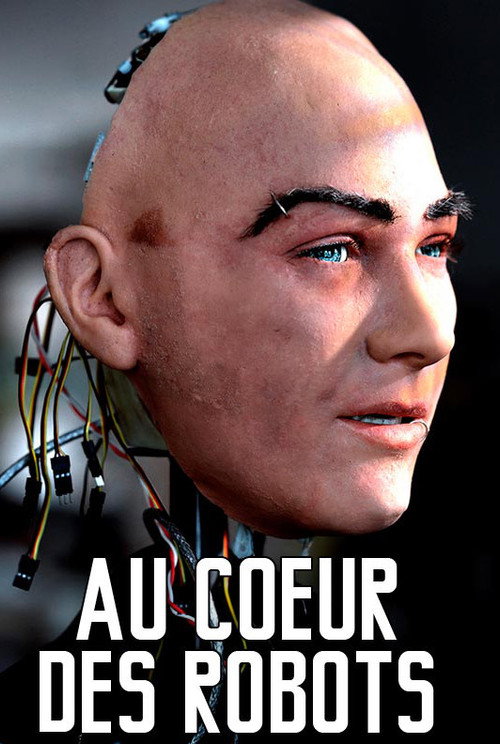 Au cœur des robots (2015) movie poster