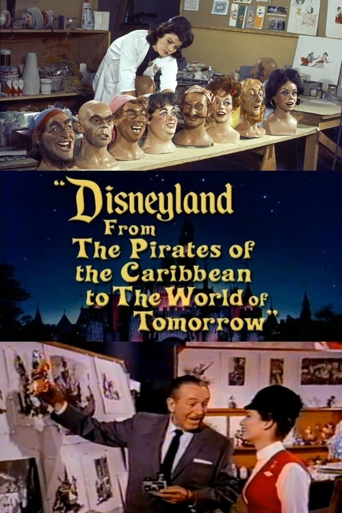 Disneyland: From the Pirates of the Caribbean to the World of Tomorrow (1968) movie poster